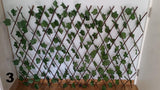 Vastacko zelenilo paneli zeleni zid za baste terase paravan - Vastacko zelenilo paneli zeleni zid za baste terase paravan