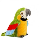 Brbeljivi papagaj zeleni - Brbeljivi papagaj zeleni