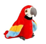 Brbljivi papagaj crveni - Brbljivi papagaj crveni