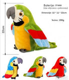 Brbljivi papagaj crveni - Brbljivi papagaj crveni
