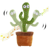 Kaktus koji igra - Kaktus koji igra