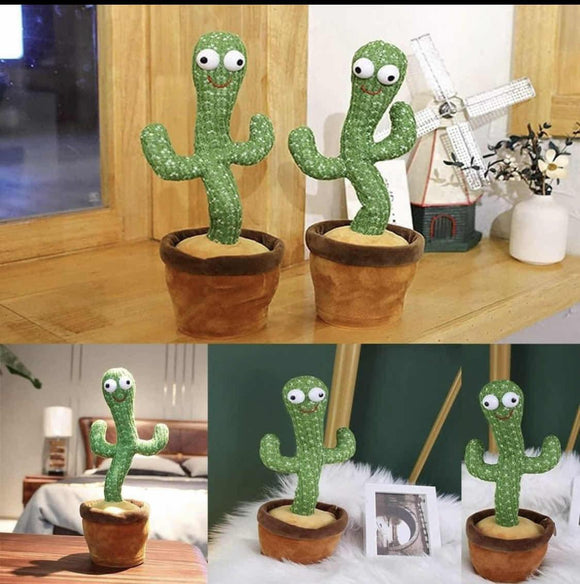 Kaktus koji prica igra i peva - kaktus - kaktus koji peva - Kaktus koji prica igra i peva - kaktus - kaktus koji peva