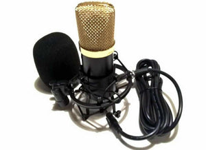 Studijski mikrofon - BM -700 - condenser microphone - Studijski mikrofon - BM -700 - condenser microphone