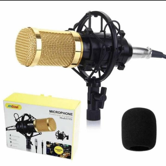 Mikrofon kondenzator  - Mikrofon kondenzator