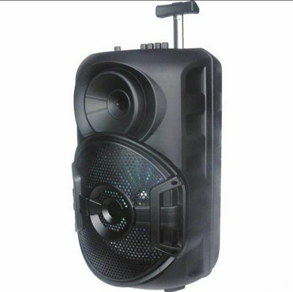 Kvalitetan blutut karaoke prenosivi zvučnik - ZQS-12106 - Kvalitetan blutut karaoke prenosivi zvučnik - ZQS-12106