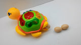 Muzička kornjača koja leže jaja AKCIJA-Muzićka kornjača