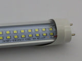 LED neonka