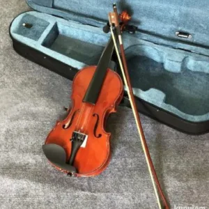 Profesionalna violina 4/4