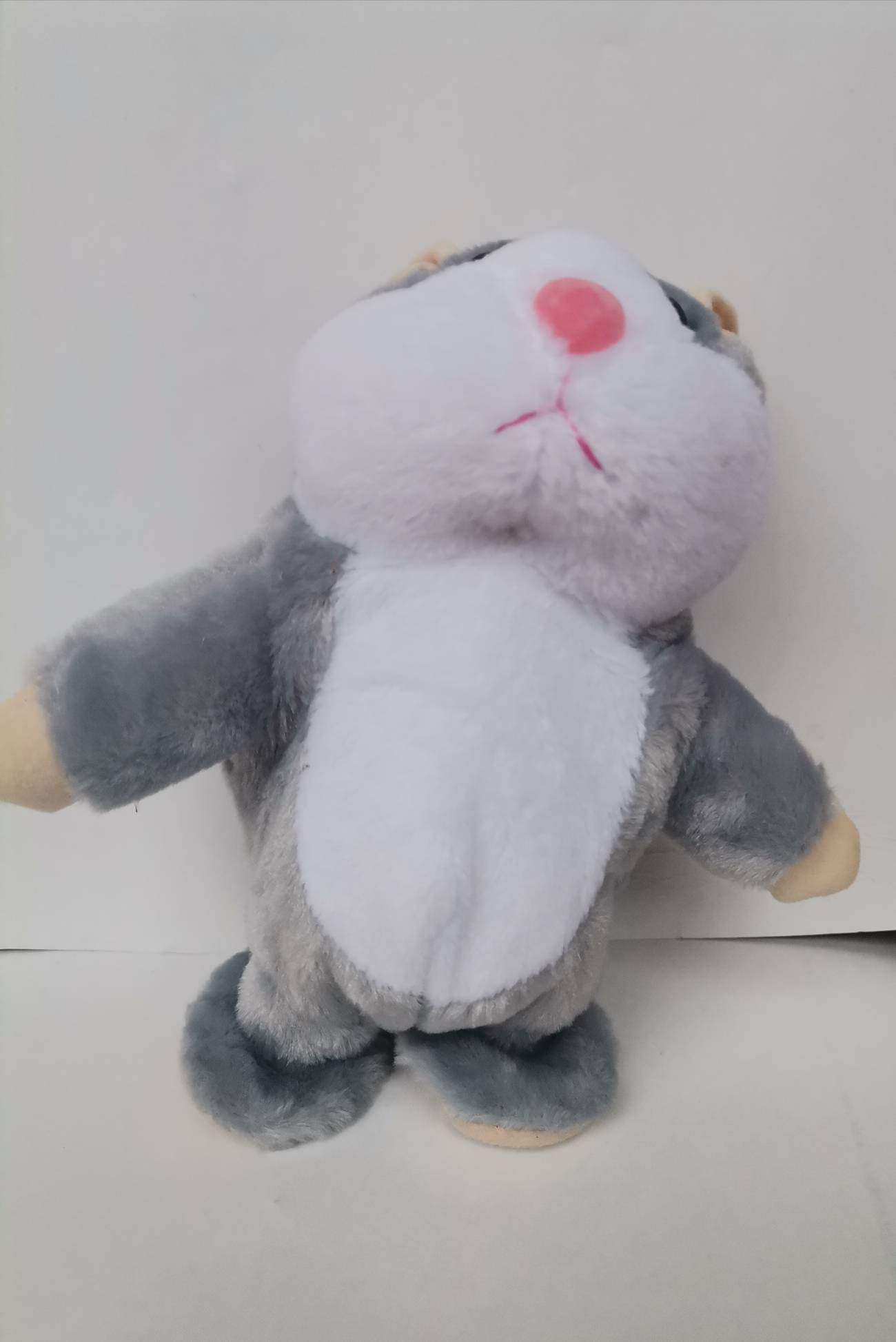 Hrcak koji prica - Slika 2