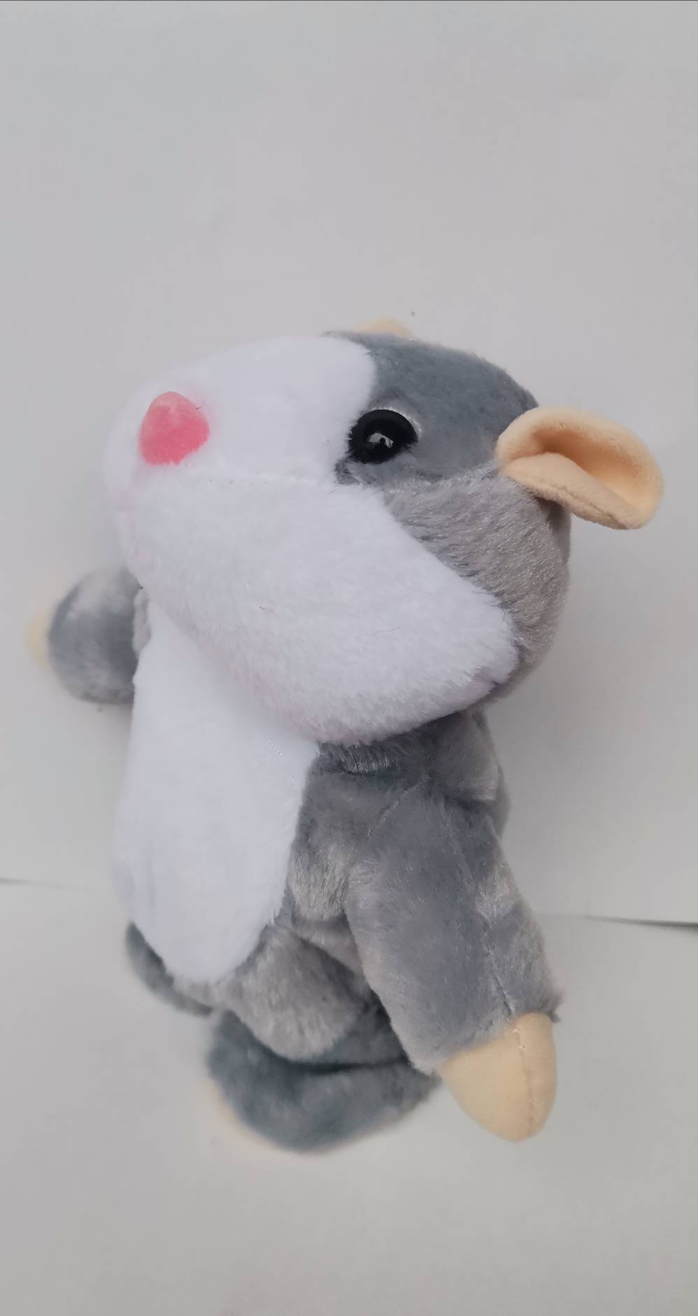 Hrcak koji prica - Slika 3