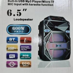 Karaoke zvucnik 600W sa mikrofonom